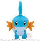 Pokemon 14'' Mudkip Banpresto Prize Plush