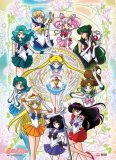 Sailor Moon Group Wall Scroll Poster