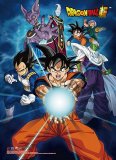 Dragonball Z Super Group Wall Scroll Poster
