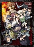 Fairy Tail Group Season 8 Wall Scroll Poster