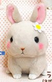 Cute Baby Animals 3'' Gray Bunny Amuse Plush Key Chain
