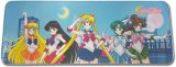 Sailor Moon Group Pose Play Mat Mouse Pad