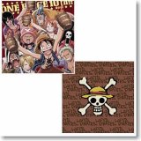 One Piece Group Full Color Cospa Pillow Case 45x45 cm