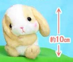Pote Usa 3'' Tan Bunny Holding Ear Amuse Plush Key Chain
